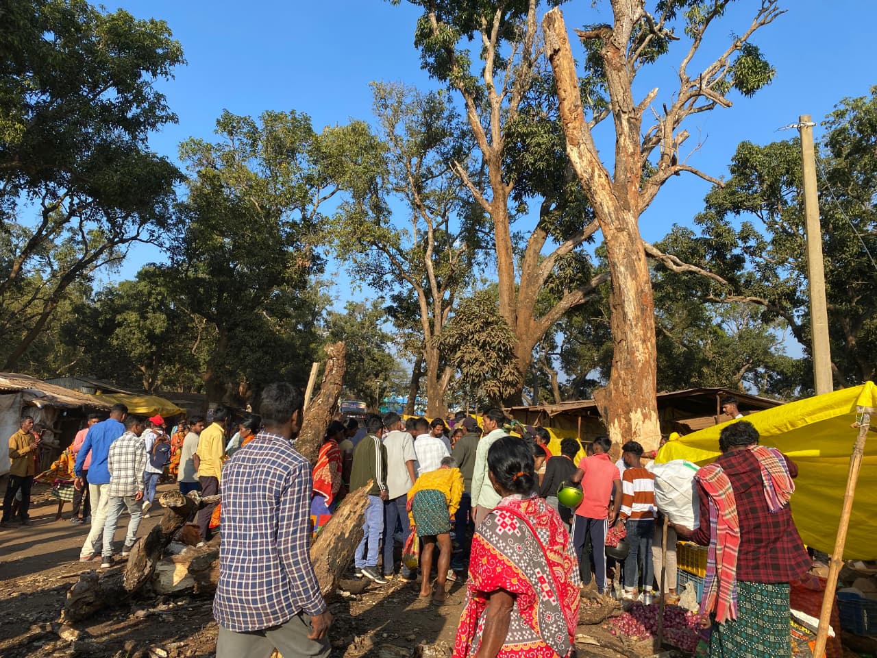 WhatsApp Image 2026-01-02 at 6.11.55 PM